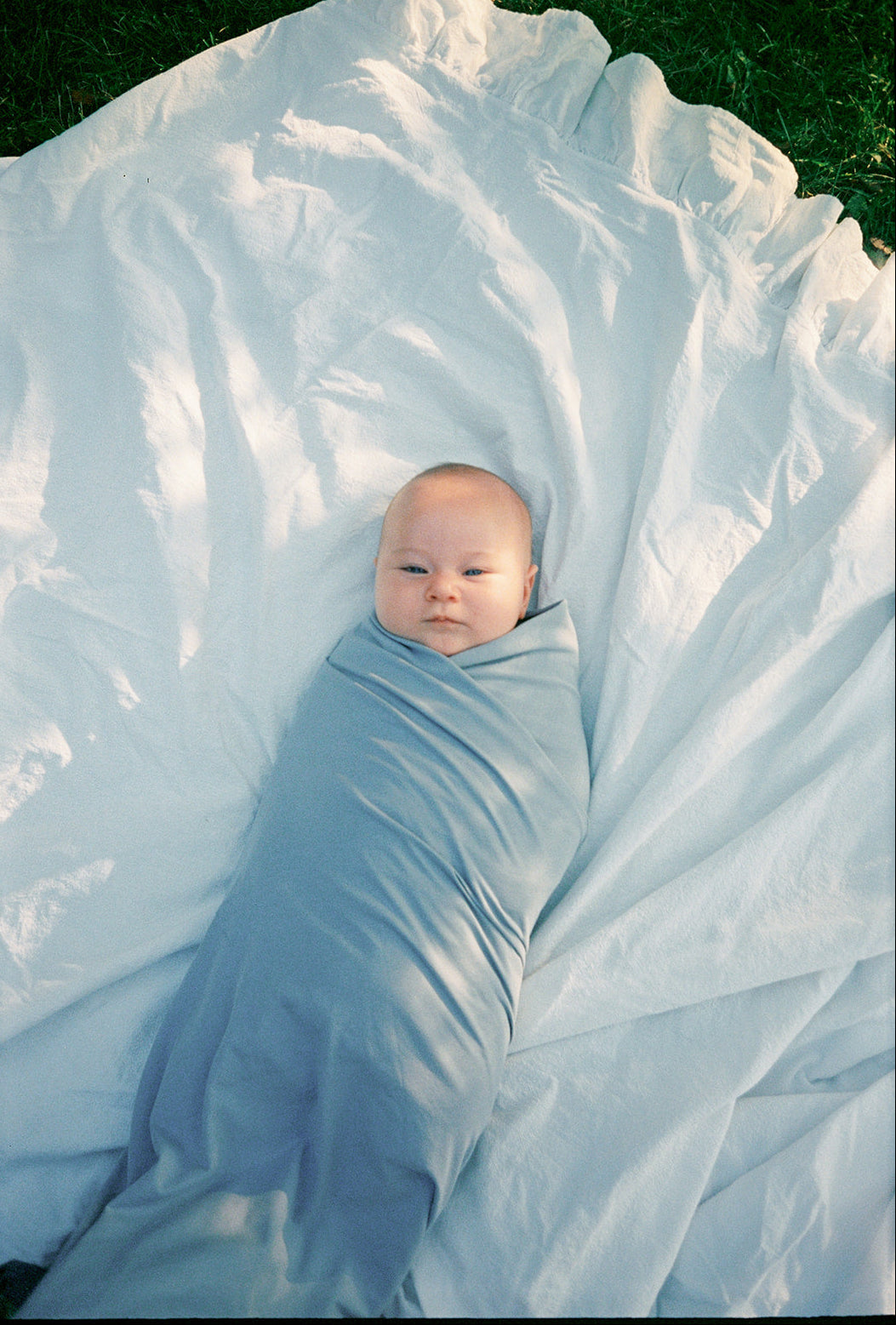 Jean Swaddle – Max & Moose